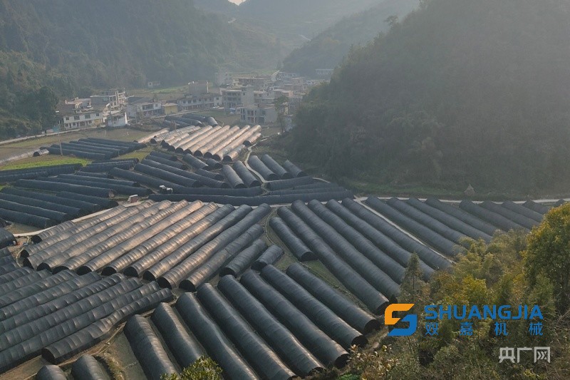 1648602513245401.jpg 1000 (1).jpg