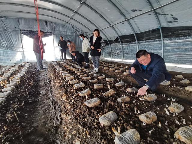 1648689008173950.jpeg 17-09-27-48-283825.jpeg