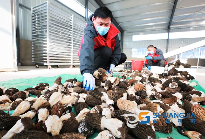 1649381109123966.jpg 10-50-18-83-283825.jpg