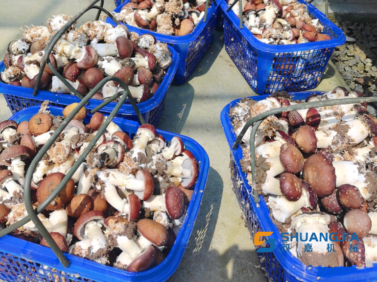 1649902611211323.png 17-22-48-19-283825.png