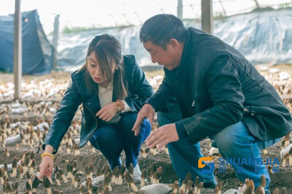 1649988756520816.jpg 14-29-57-24-283825.jpg