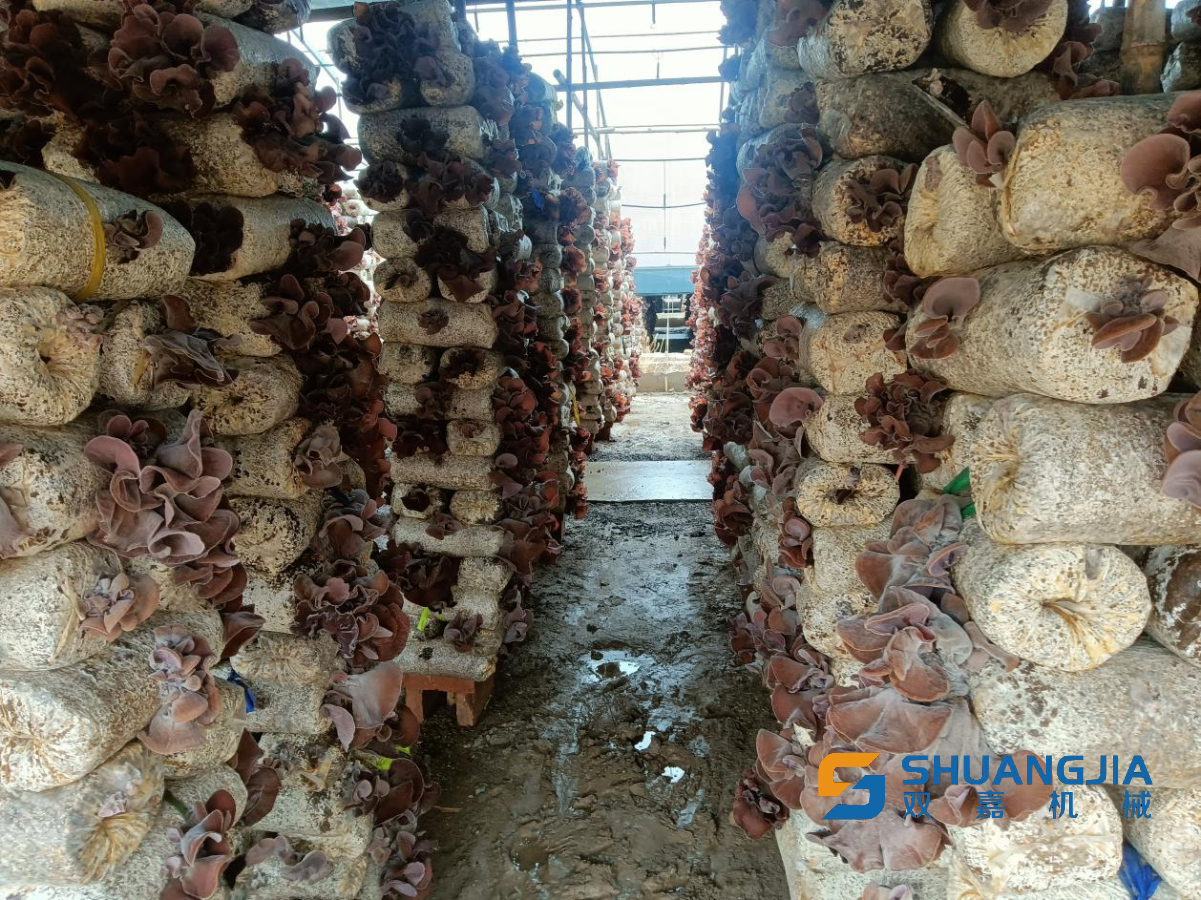 1649989407669105.png 08-55-24-41-283825 (1).png