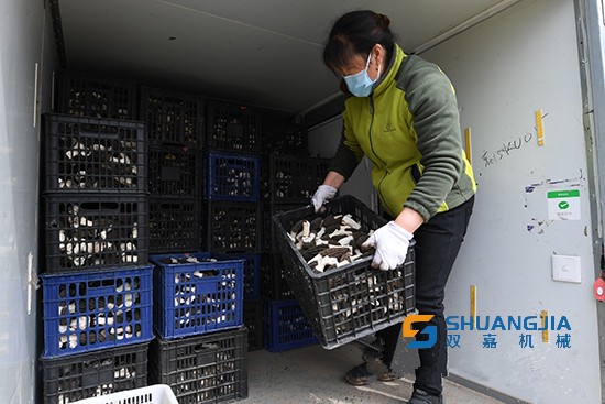 1650766292114295.jpg 17-01-47-80-283825.jpg