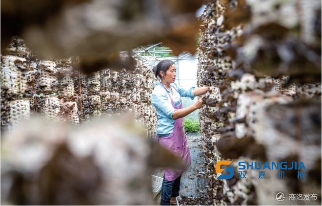 1650852431224343.jpg 10-58-48-99-283825.jpg