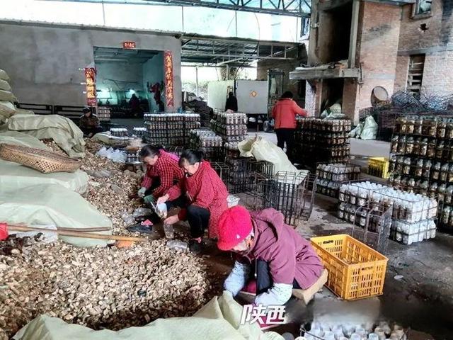 1651369861907437.jpeg d058ccbf6c81800ab65a50867ca770f0838b471c.jpeg