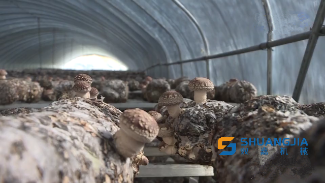 1651540467111690.png 09-32-07-20-283825.png