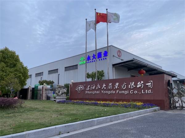 1651541115723290.jpeg 98b041ca3b834dea9a5814fbb39c02e9.jpeg