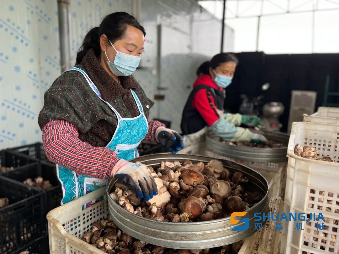 1651802071205469.jpg 10-07-16-51-283825.jpg