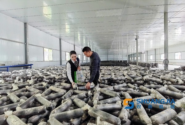 1652232581132805.jpg 11-03-03-50-283825.jpg