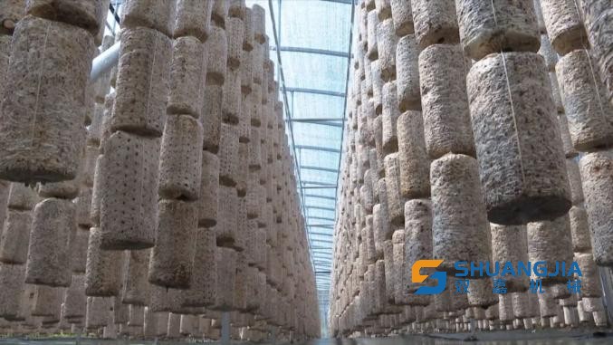 1653099656928369.jpg 566.jpg