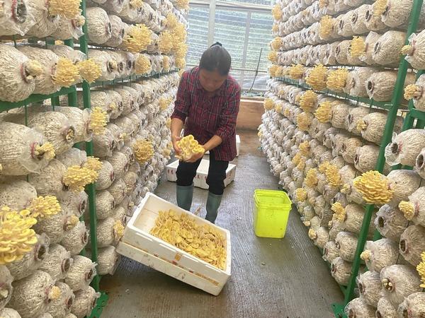 1654220140864810.jpeg 12-35-31-53-283825.jpeg