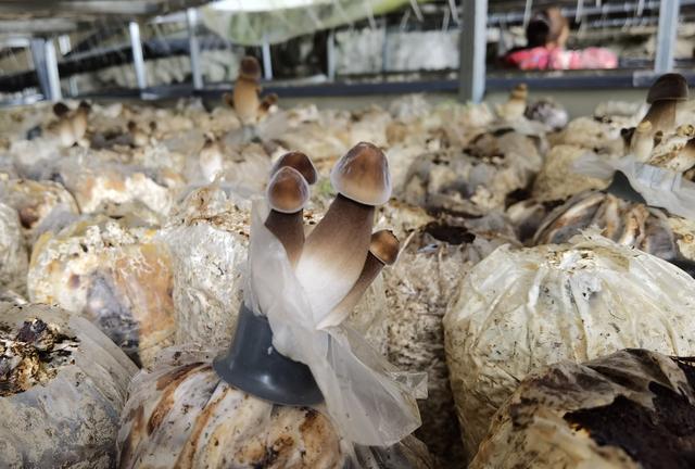 1656037047192864.jpeg 08-58-00-43-283825.jpeg