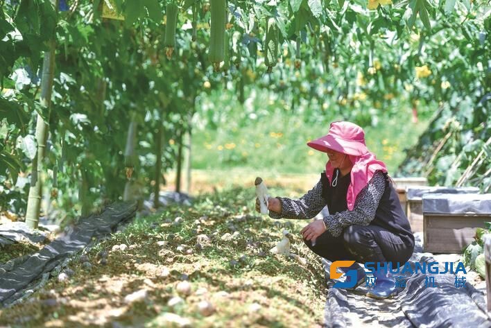 1656377952132309.jpg 11-32-14-99-283825.jpg