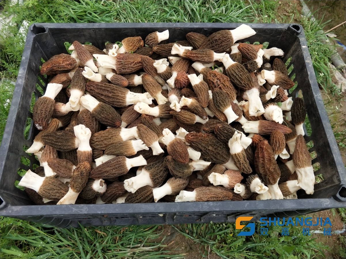 1656728394720555.jpg 17-32-57-83-283825.jpg