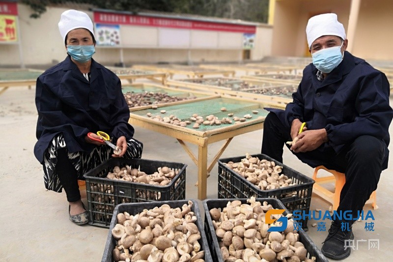 1658112161901150.jpg 09-10-54-48-283825.jpg