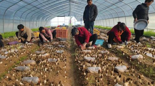 1658367825182922.jpeg 17-26-40-45-283825.jpeg