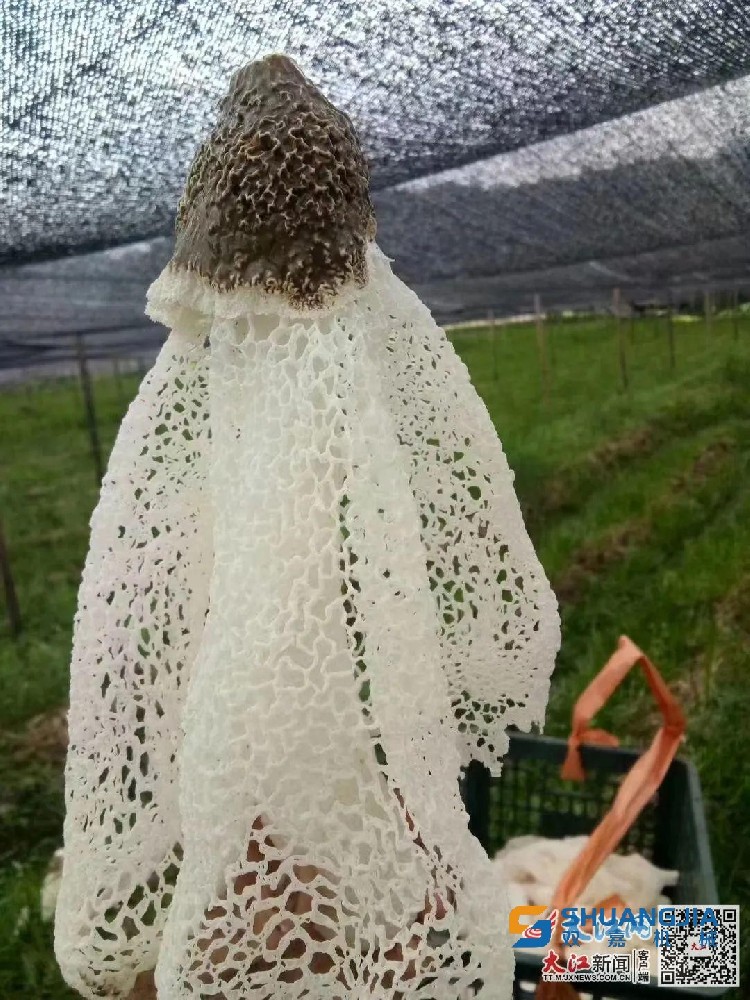 1658456295148497.jpg 17-12-04-66-283825.jpg