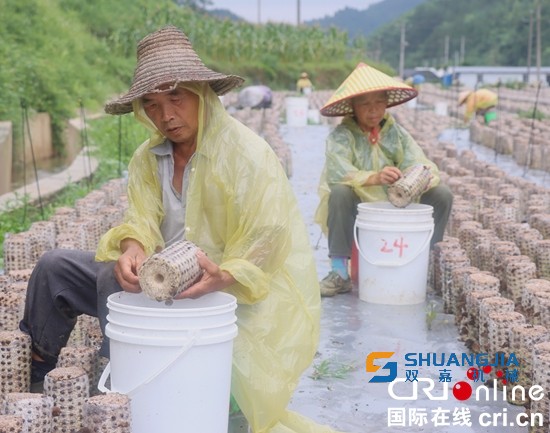 1658540886117264.jpg 09-50-12-51-283825.jpg