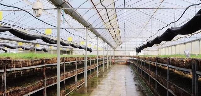 1658973211637565.jpeg 10-46-05-10-283825.jpeg