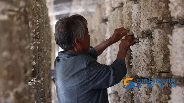 1660447770863973.png 22-44-02-77-283825.png